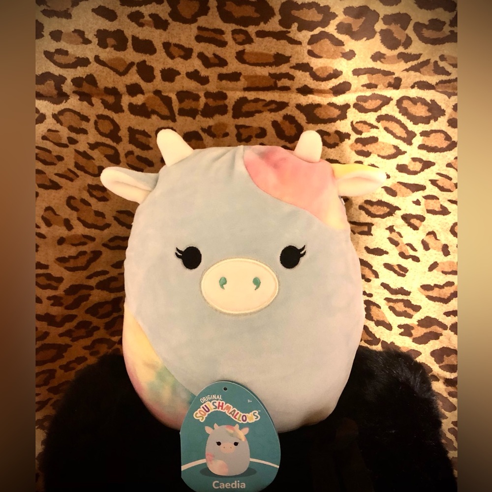 🩵🐮 Caedia 8’’ 🐮🩵 🇺🇸